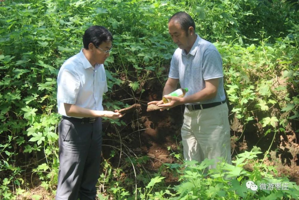 遗址|古薛，“锅”的发源地