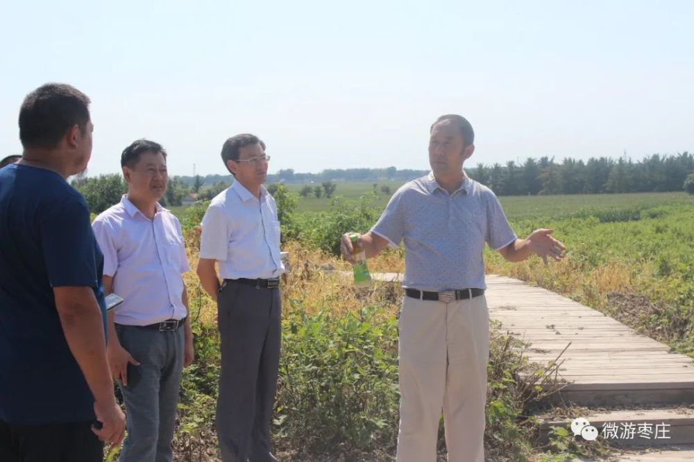 遗址|古薛，“锅”的发源地