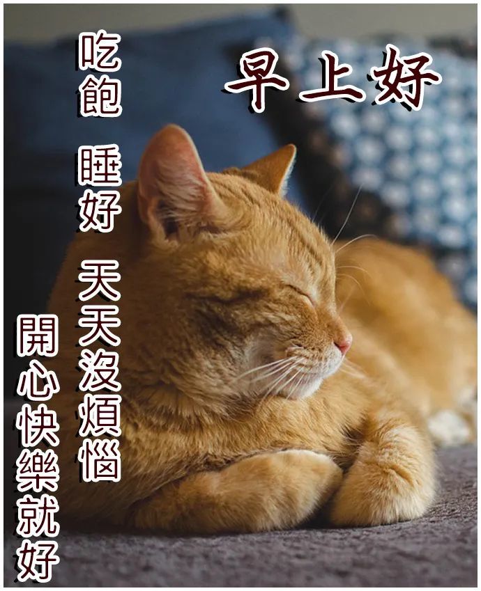 星期日早上好问候语动态图片大全,微信朋友圈早晨问候语