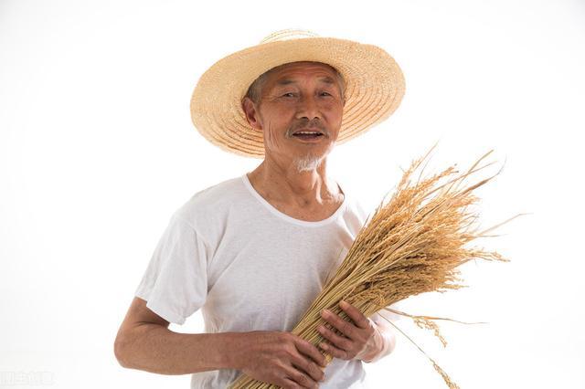 往事如烟:36年前的生产队,到底有着怎样的故事?