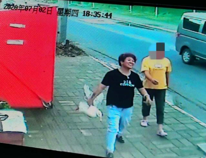 王珞丹|王珞丹为何出10只北京烤鸭寻找柯尔鸭？宠物瓢哥好友，价值50000