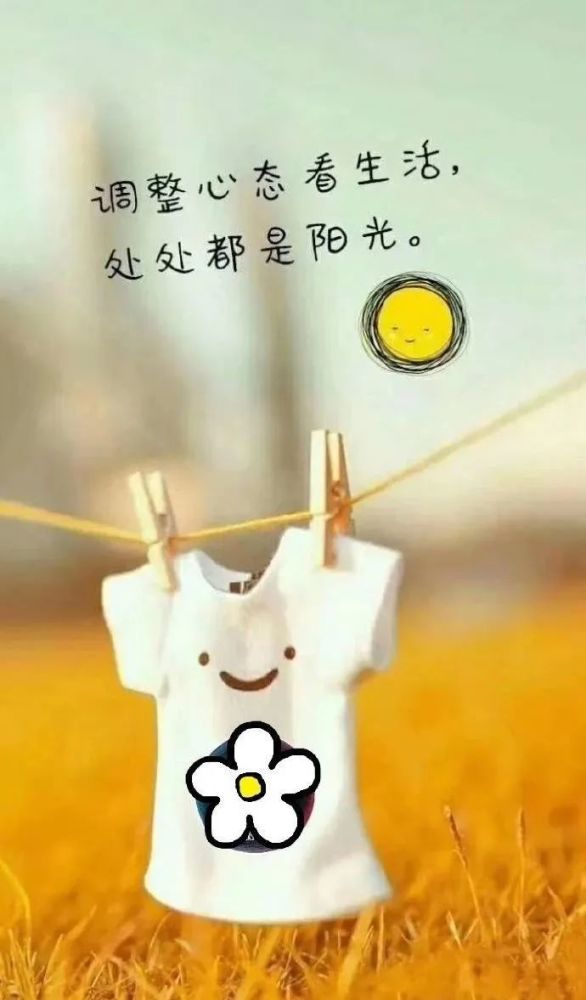 生活随心的句子(生活随心的句子想变就变)