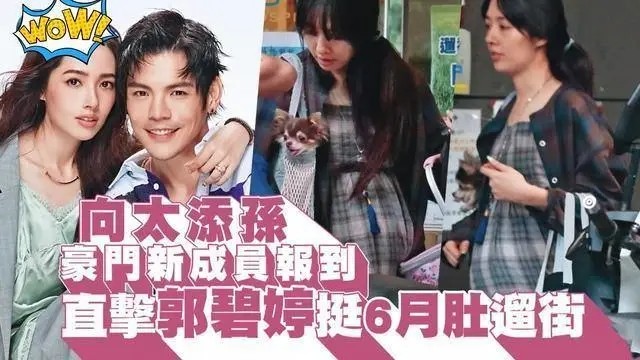 郭碧婷|向太等着抱孙，处处维护郭碧婷，儿媳妇郭碧婷的压力其实也挺大