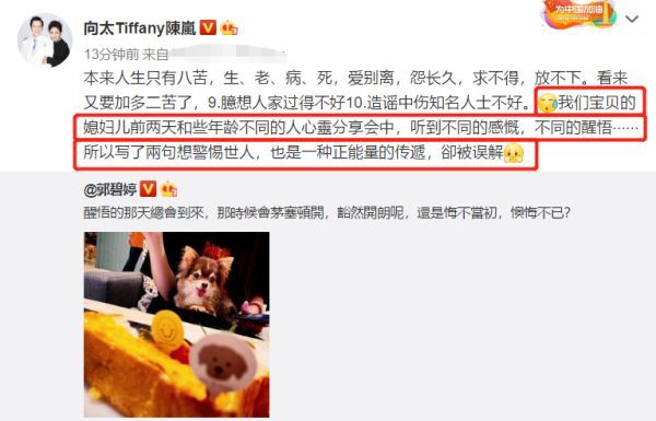 郭碧婷|向太等着抱孙，处处维护郭碧婷，儿媳妇郭碧婷的压力其实也挺大