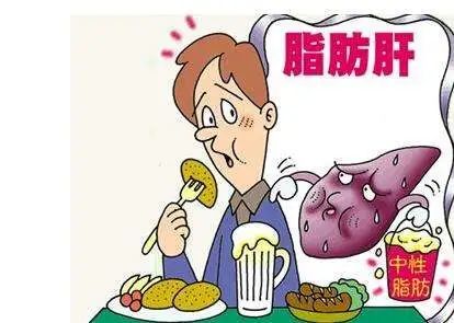 脂肪肝|脂肪肝和胖瘦有关？喝茶可以有效预防？这些误区请避开