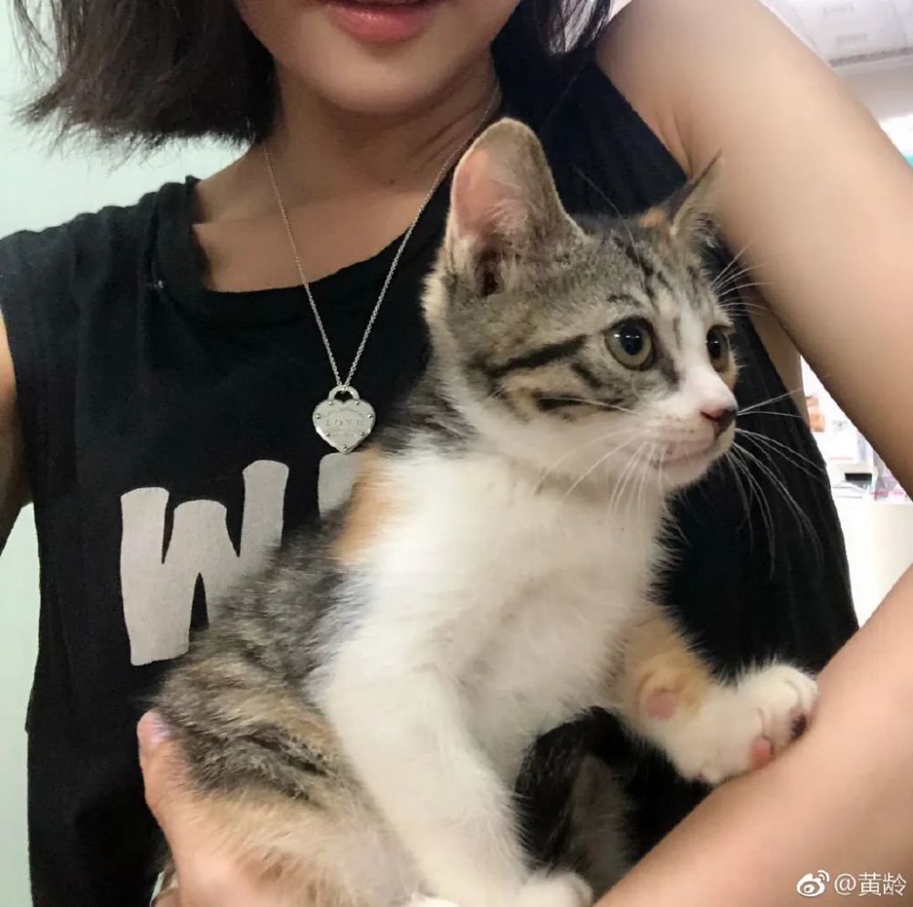 黄龄|黄龄姐姐，你怎么这么能“作”？