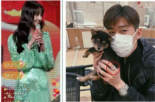 张翰|张翰6个字辟谣和郑爽复合传闻，透露两人分手态度坚决且再无联系