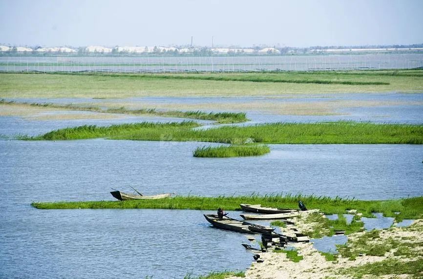 湘阴头条v余良勇:做好渔民转产转业 严厉打击非法捕捞