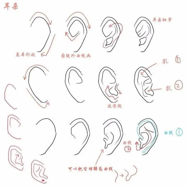 【耳朵脸型画法素材】3分钟,五官绘画技巧学起来