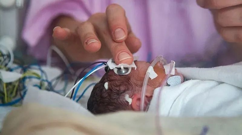 胚胎|发育生物学家的15年：胚胎早期到底发生了什么？