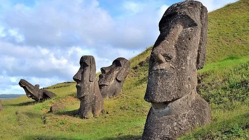 胚胎|发育生物学家的15年：胚胎早期到底发生了什么？