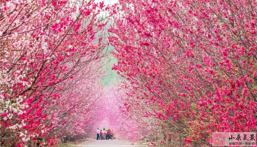 美图|抬起你的小手，为北京的美图投上一票吧！