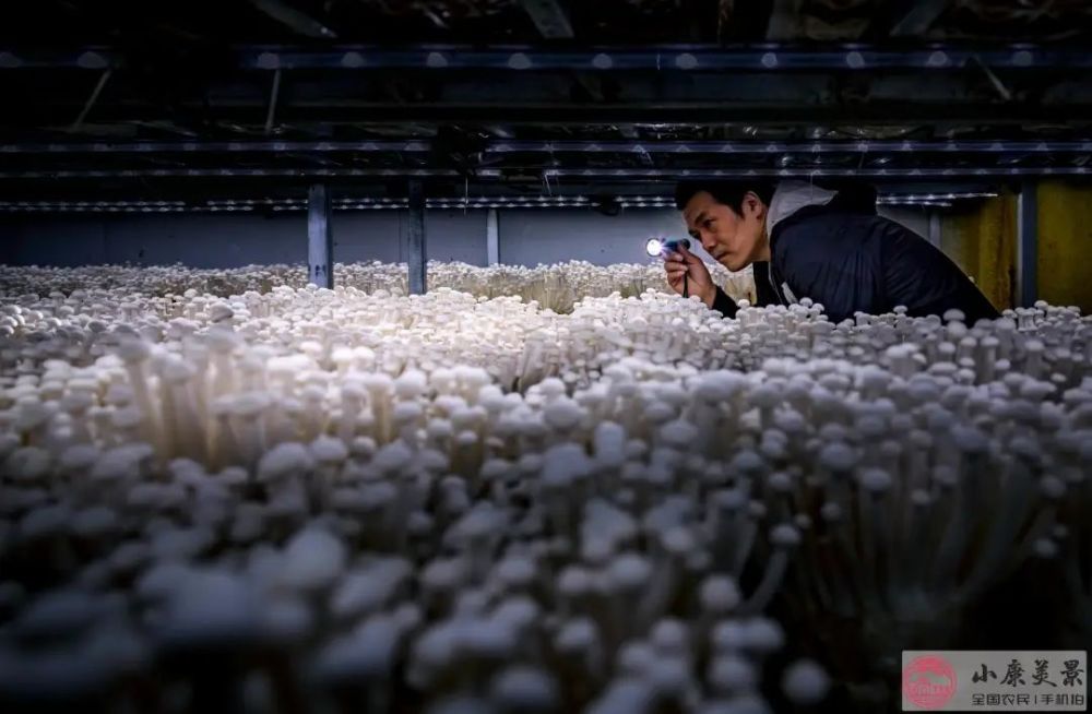 美图|抬起你的小手，为北京的美图投上一票吧！