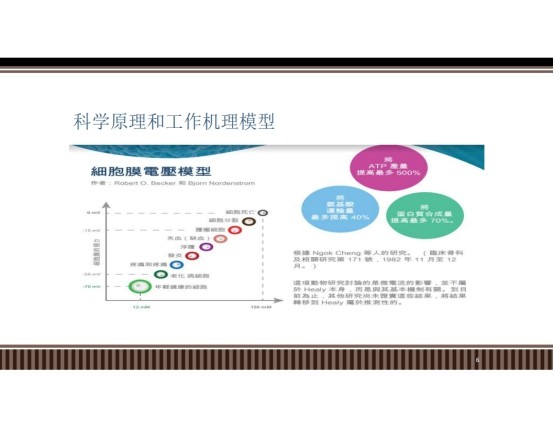 量子|德国量子共振治疗仪，healy的效果与原理！