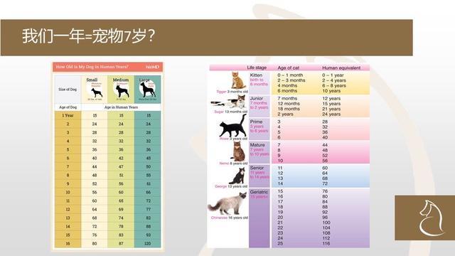 警惕 浅谈暮年犬已经生病了 日常改变有哪些 曙光健康网