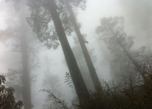 村庄|中国“最诡异”的5个地方，很多现象科学都解释不了，锁龙井上榜