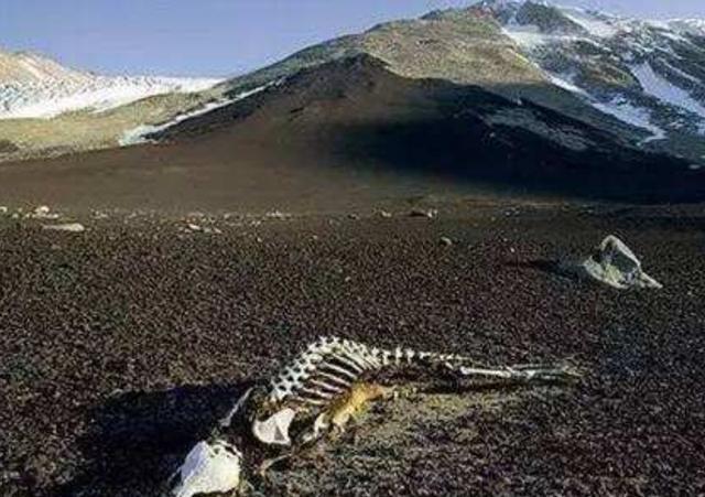 村庄|中国“最诡异”的5个地方，很多现象科学都解释不了，锁龙井上榜