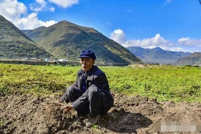 農村老人沒兒子,女兒出嫁,如果老人去世,田地會歸誰?答案其實很簡單