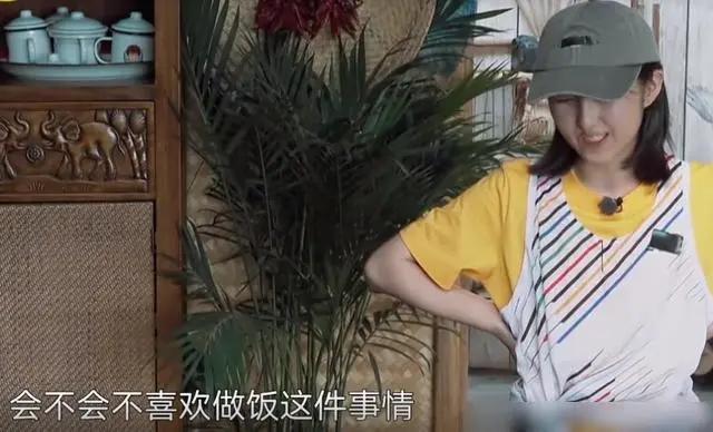 向往的生活|《向往的生活》收视率一路下滑，慢综艺要怎么才能玩出新花样？