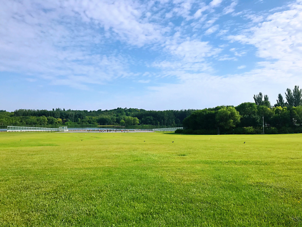 万物向阳而生,北京奥森迎来盛夏最美时节_腾讯新闻