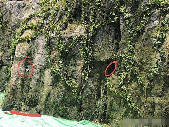 皓衣行|皓衣行剧组为殴打“粉丝”道歉，声明对方先动手，已将打人者开除