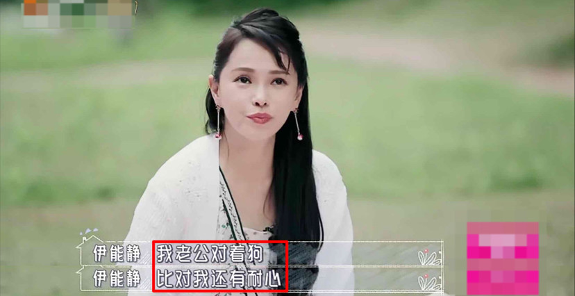 秦昊|秦昊吐槽伊能静话比狗多，伊能静当场黑脸想离婚，网友点评一针见血