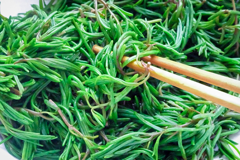 人称黄须菜包饺子味道好7元一斤长在海边少有人识