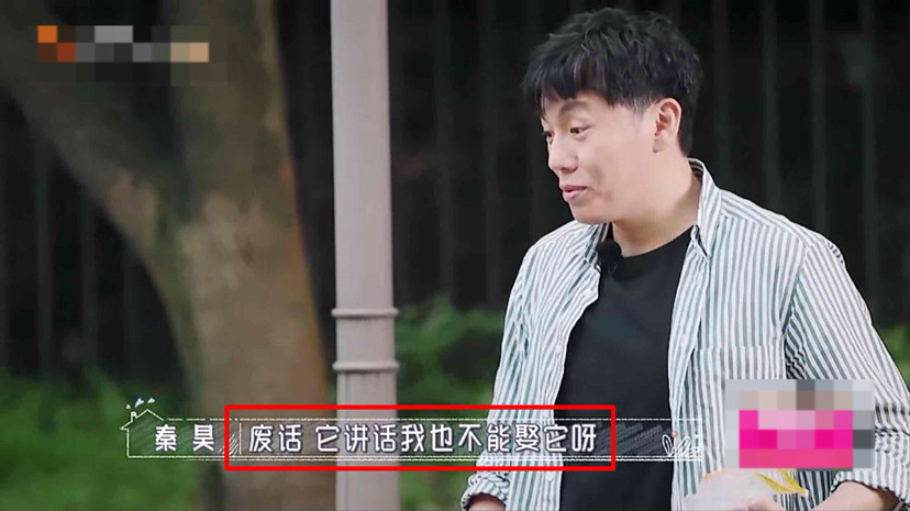 秦昊|秦昊吐槽伊能静话比狗多，伊能静当场黑脸想离婚，网友点评一针见血