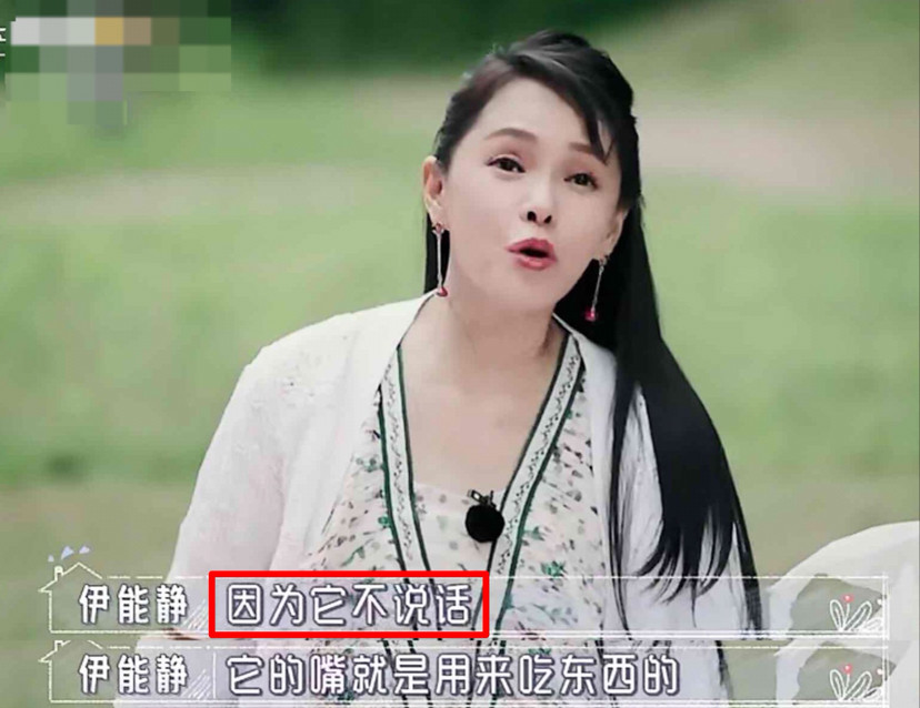 秦昊|秦昊吐槽伊能静话比狗多，伊能静当场黑脸想离婚，网友点评一针见血