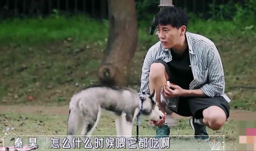 秦昊|秦昊吐槽伊能静话比狗多，伊能静当场黑脸想离婚，网友点评一针见血