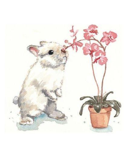 插画师|插画师用一双慧眼发现了动物的美好！无比生动且温馨的样子