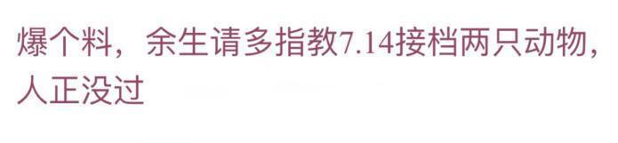 网传肖战《余生》7月14日上星，兜兜转转后是否能够平安落地？