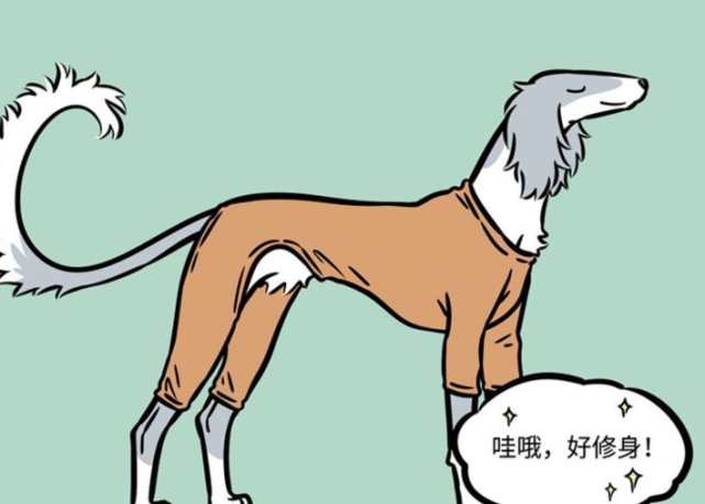 非人哉 人靠衣装马靠鞍 狗配铃铛跑得欢 悟空云彩是一绝 腾讯网