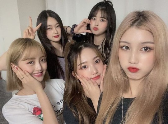 疫情被迫解散 曾无奈放弃梦想的她们重新归来站上舞台|bullet|cherry