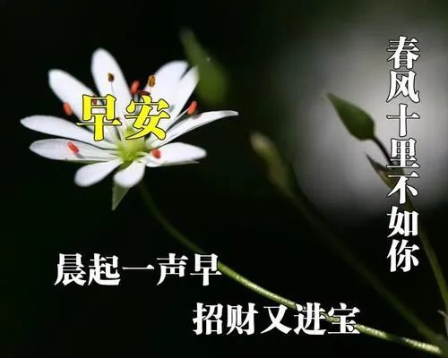 2020最新早安祝福語句子大全,早上好漂亮的問候圖片精選