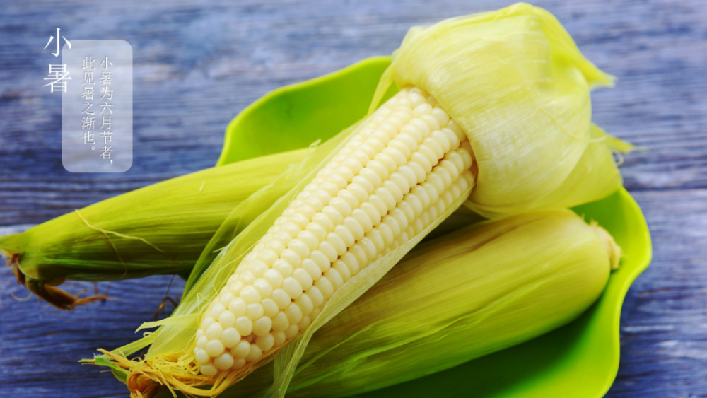 二十四节气|小暑神清夏日长『二十四节气』