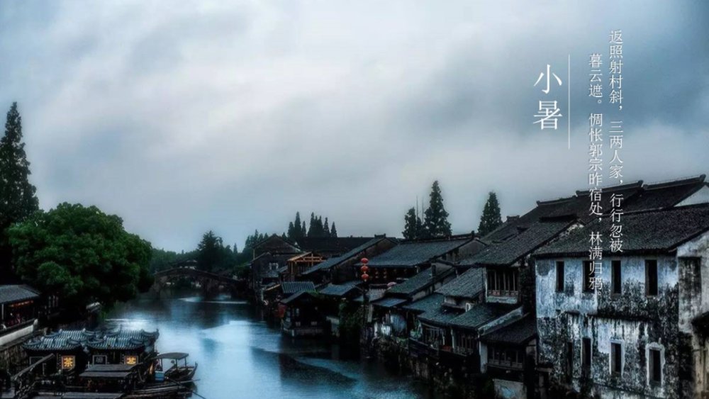 二十四节气|小暑神清夏日长『二十四节气』