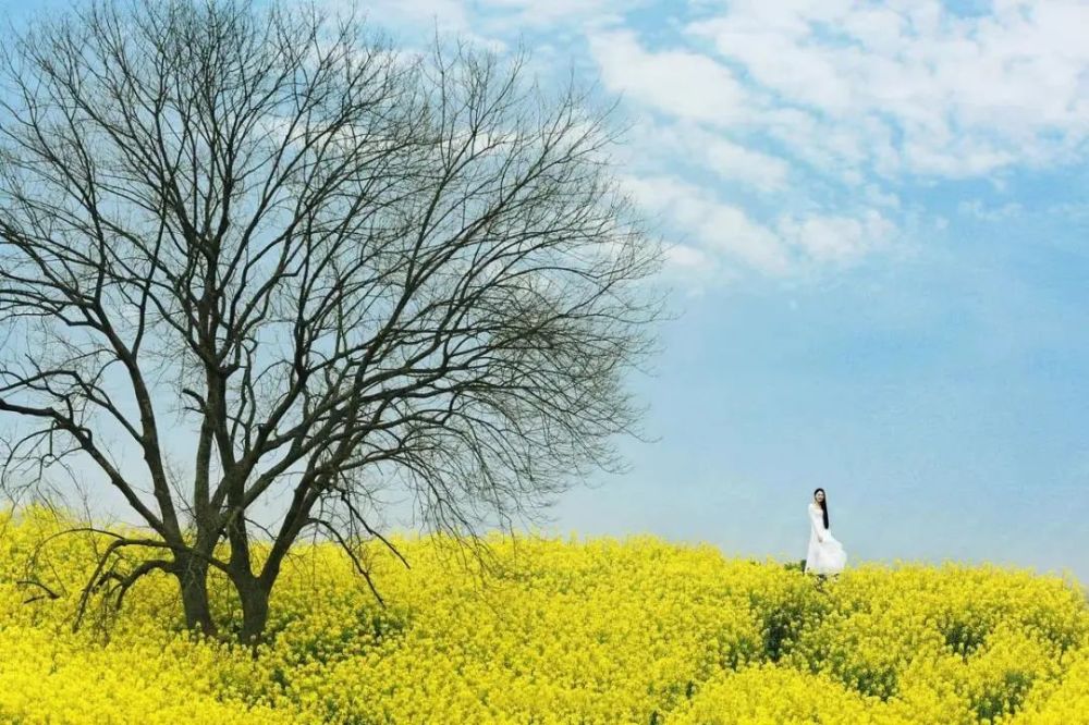 韩信|层次越低的人，越喜欢做这三件事