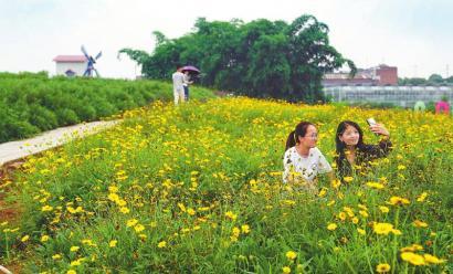 花开天府 种 出小康 腾讯新闻