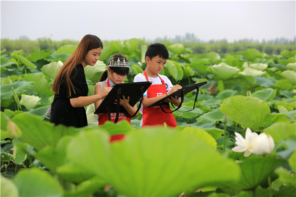 7月3日,游客在曲周县胜丰莲藕种植专业合作社荷塘景区写生.