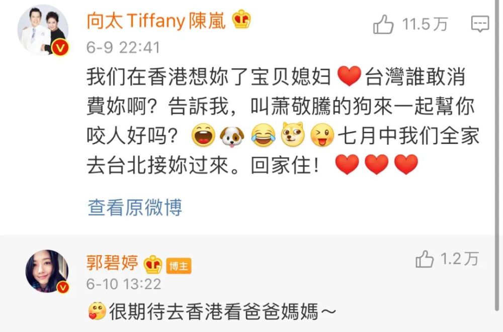 郭碧婷|郭碧婷疑似骗婚，删光老公微博：求求你，别装了！