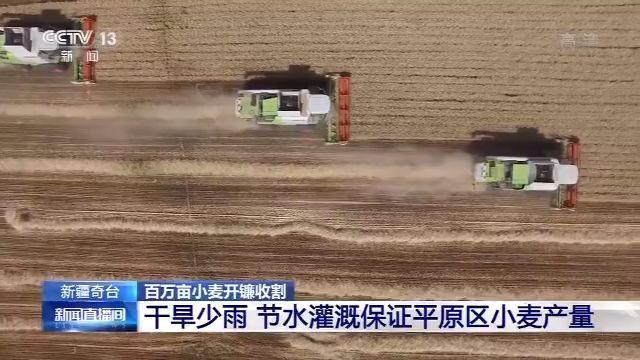 奇台县|新疆奇台百万亩小麦开镰收割 日收割量达10万亩地