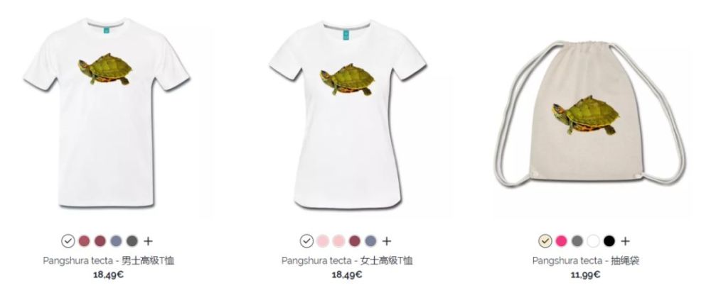 灭绝|灭绝边缘的小可爱 Pangshura tecta 印度泛棱背龟