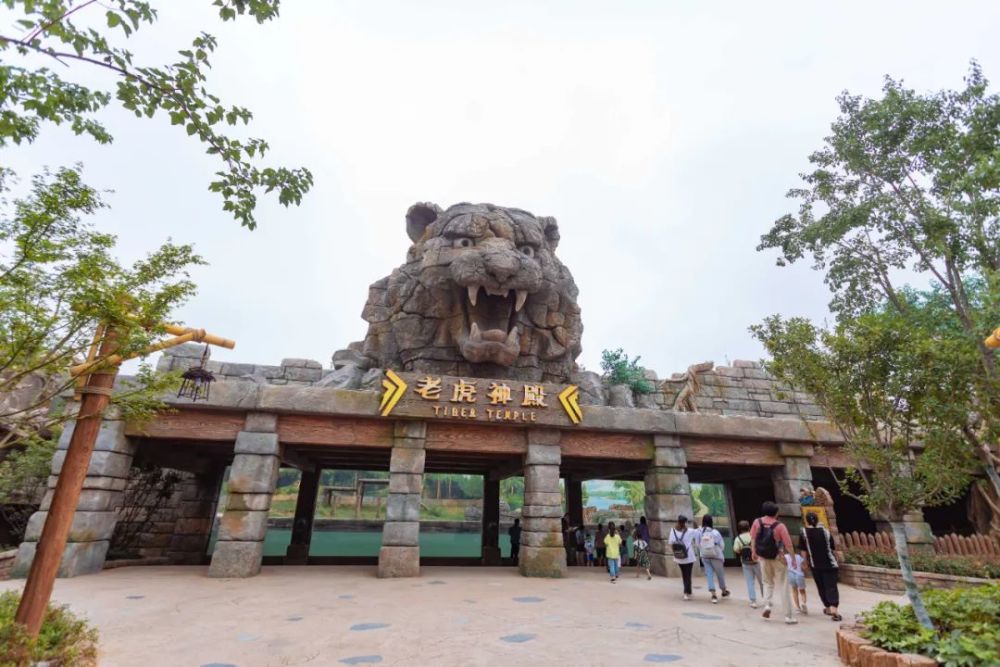 新开的动物王国到底能不能去全网吹还是全网黑真实体验报告来了