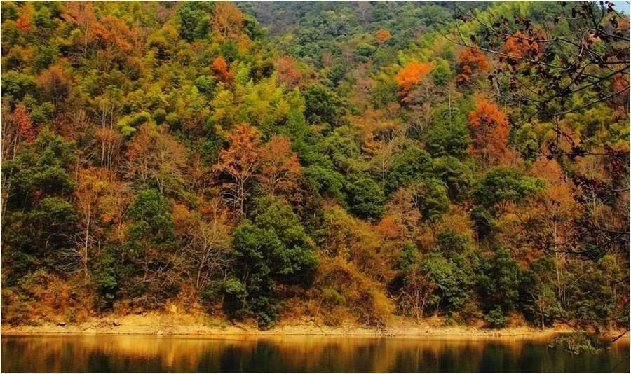 房山区|好消息！计划投资150000000元！房山区这个地方即将开建！