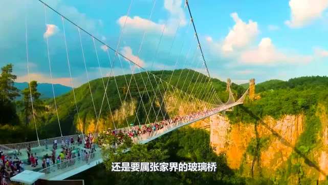 大量游客挤上玻璃桥 下一秒意外发生 镜头记录下惊险一幕 玻璃桥 张家界