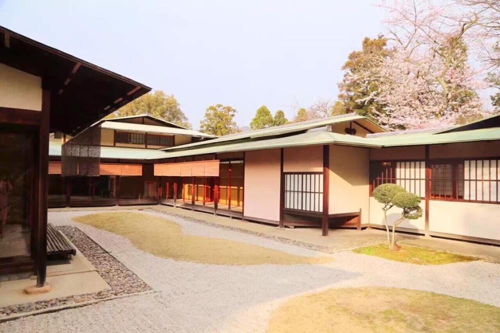 中国茶与日本茶 谁更讲究 真正区别在哪里 腾讯新闻