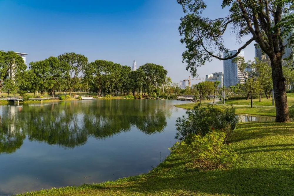 香蜜湖公園