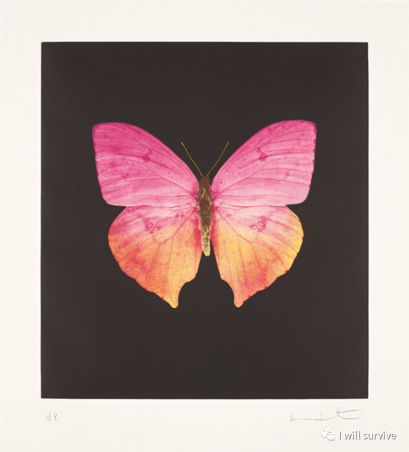 蝴蝶被希腊人描绘为基督徒的灵魂和复活