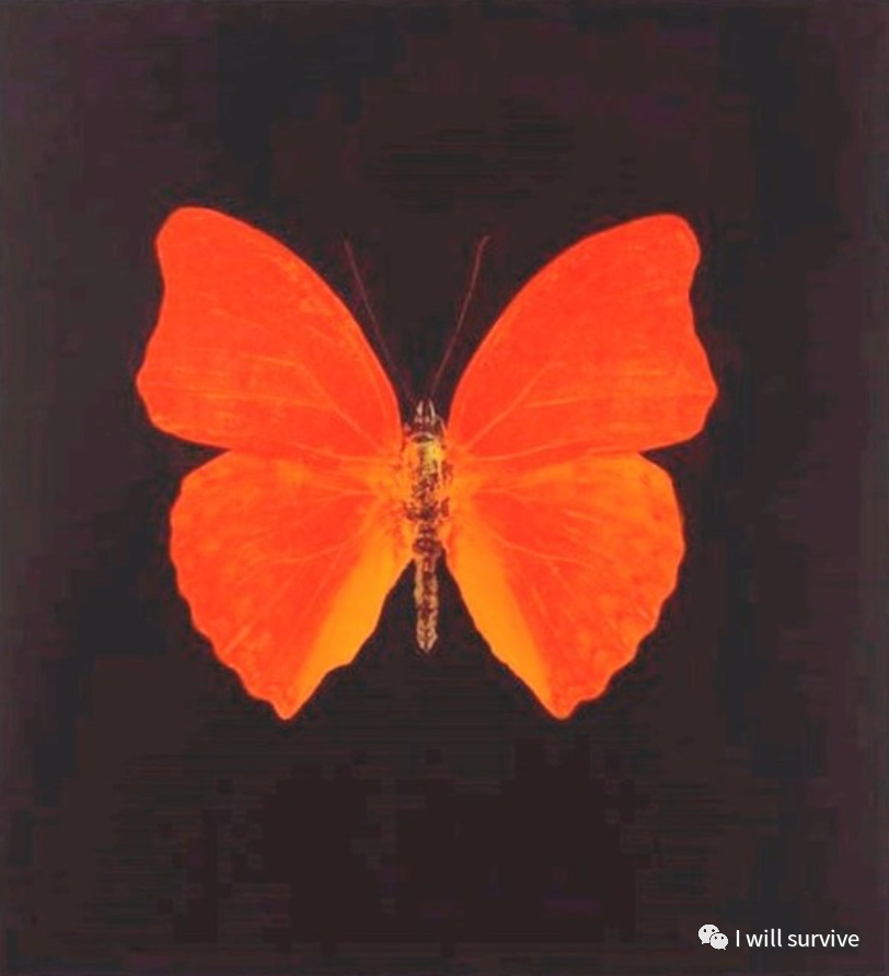 品(03-大橙色蝴蝶),2007再生,2009由gareth winters拍摄damien hirst